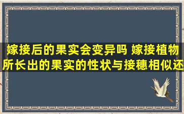 嫁接后的果实会变异吗 嫁接植物所长出的果实的性状与接穗相似还是与砧木相似砧木和接穗分别有什么作用